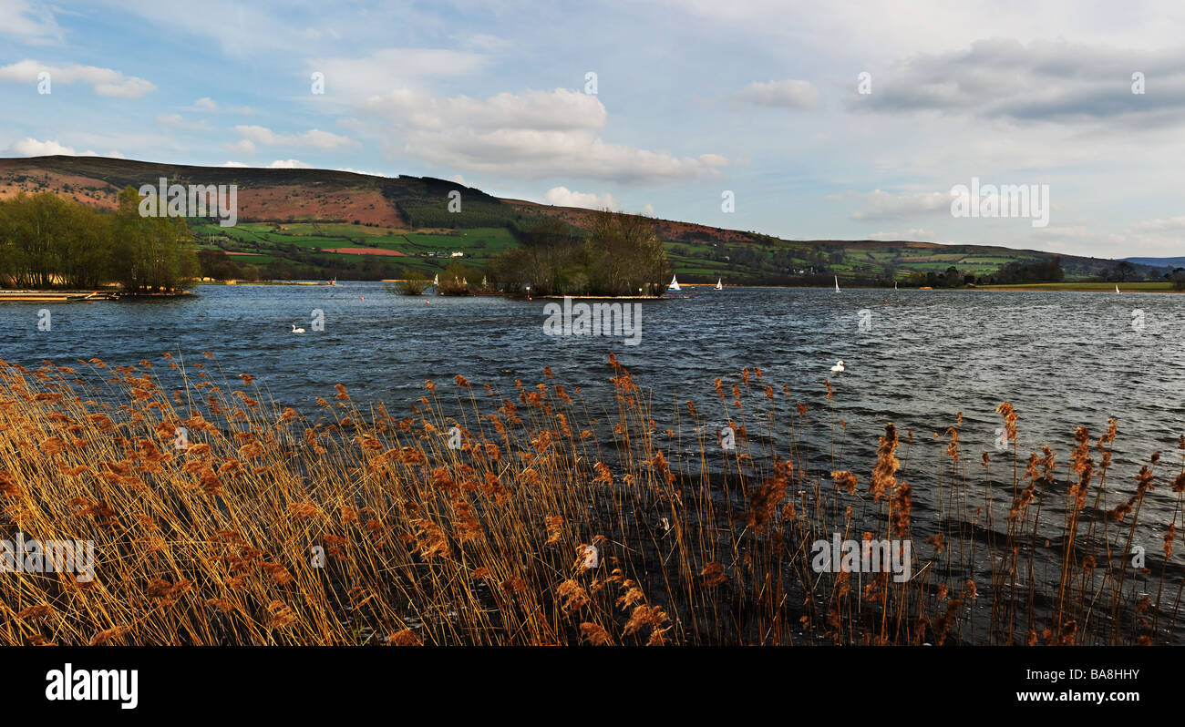 Ein Panoramablick auf den Crannog im Llangorse Lake in Wales. Stockfoto