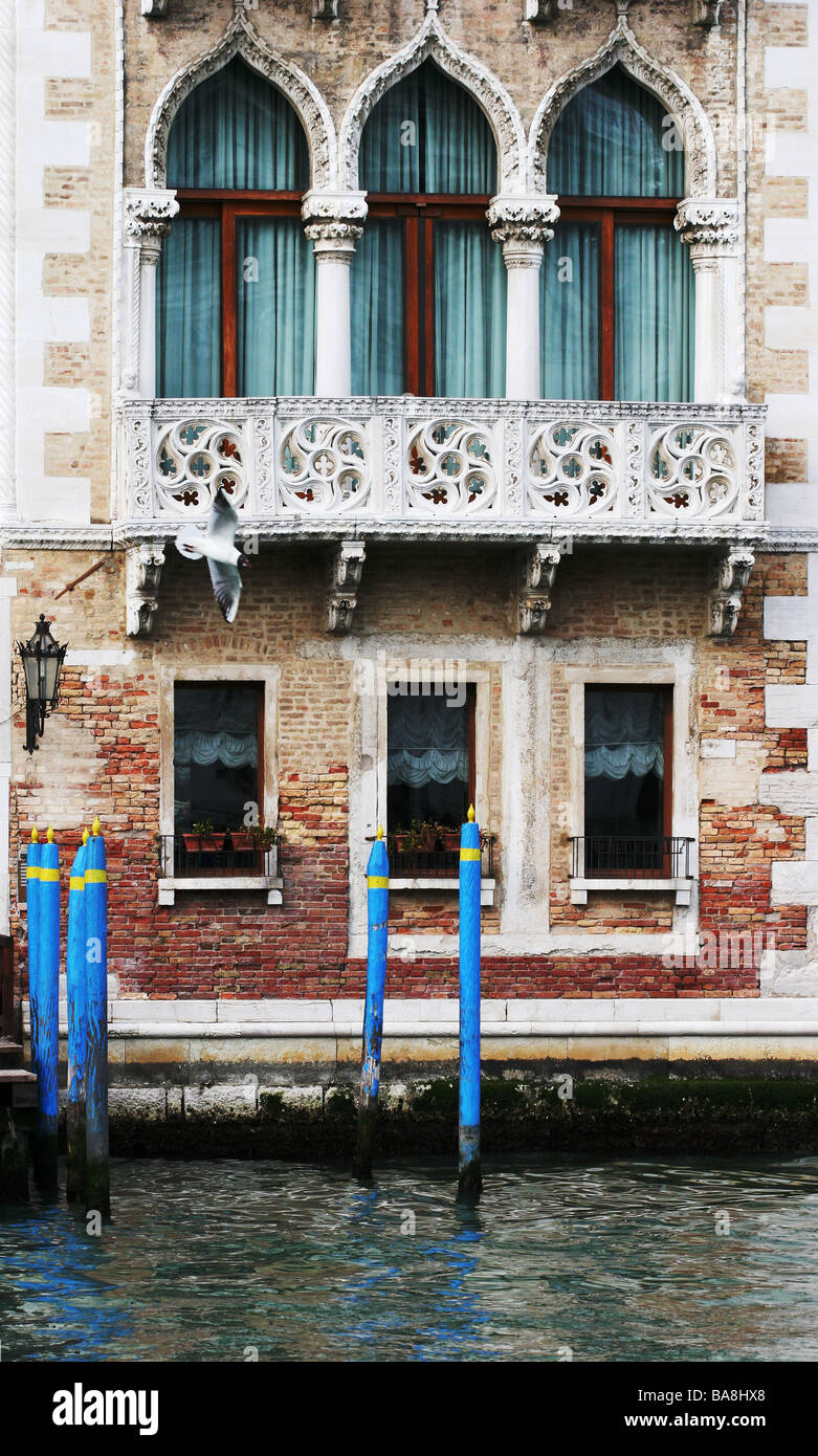 Gewölbte Fenster und Fassade eines Waterfront venezianischen Gebäudes mit einem vorbeifahrenden Möwe Venedig Italien Stockfoto