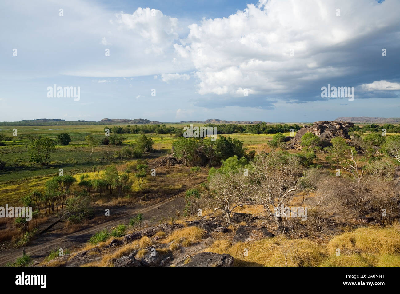 Blick über Nadab Aue aus die heilige Stätte der Aborigines von Ubirr. Kakadu-Nationalpark, Northern Territory, Australien Stockfoto
