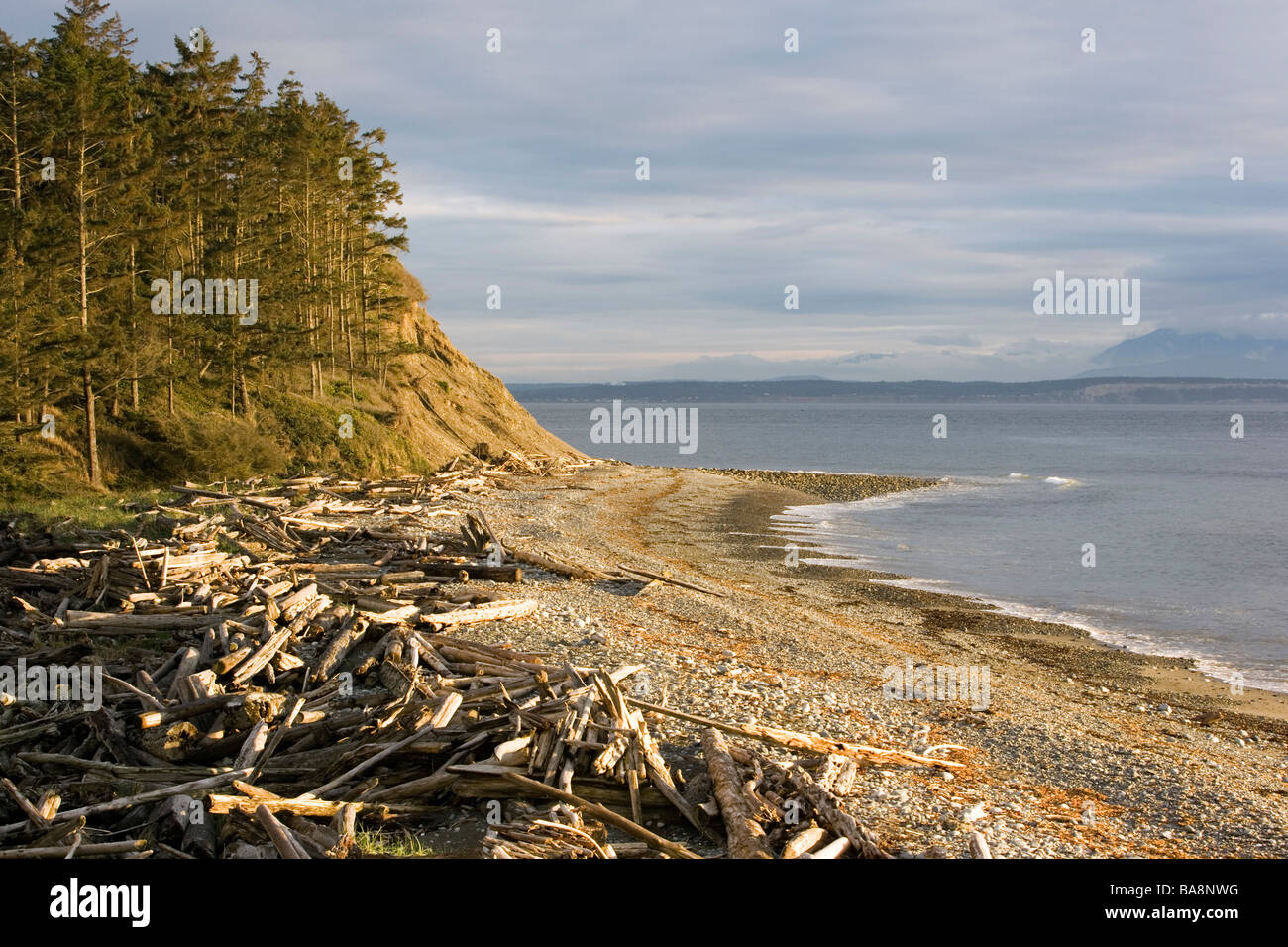 Driftwood Beach - Fort Ebey Staatspark, Whidbey Island, Washington Stockfoto