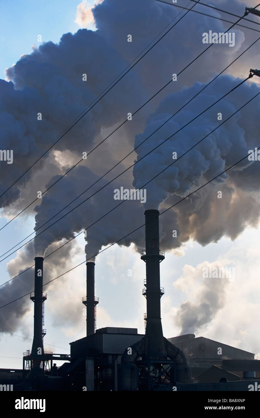 Rauchen ab Werk Stockfoto