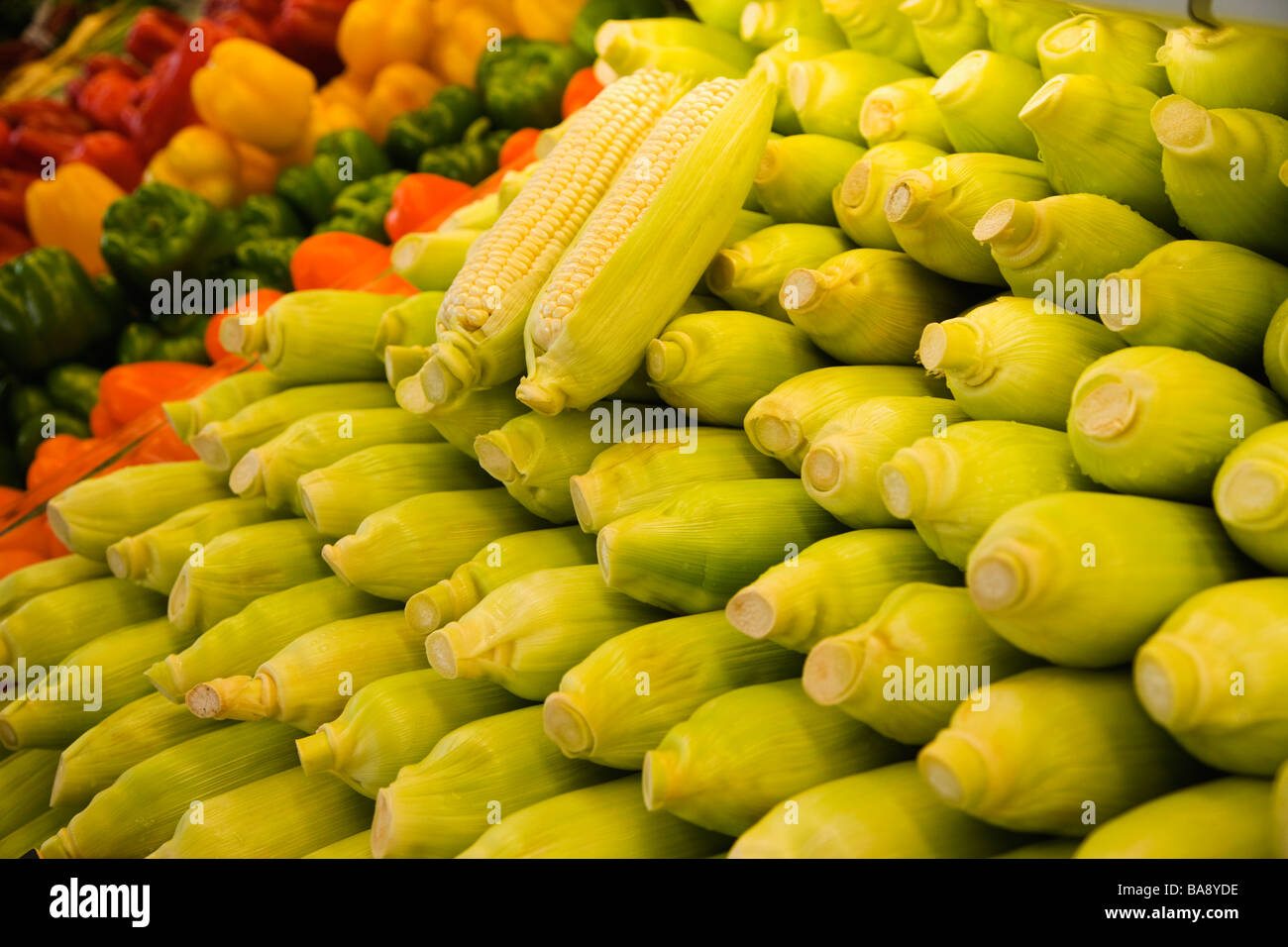 Reihen von frischem Mais Stockfoto