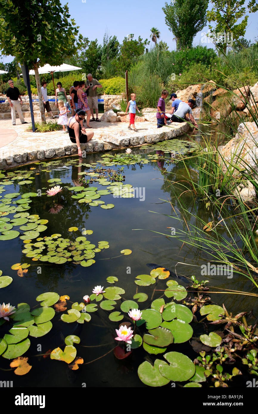 Lilly Wasserblumen in einen Teich an der Gärten von Palma Aquarium Mallorca Insel Balearischen Inseln Mittelmeer Spanien Stockfoto