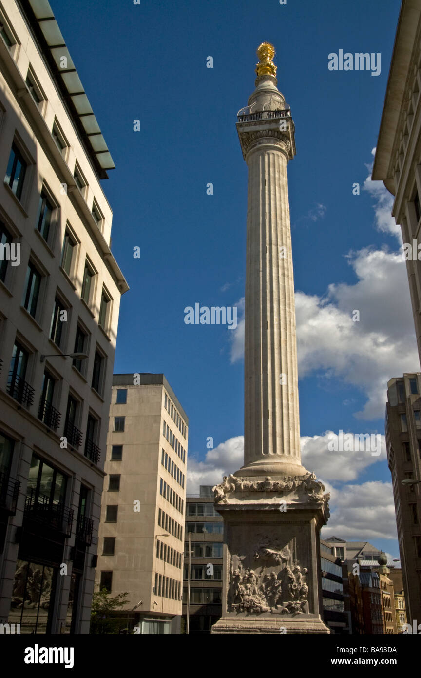 Das Feuer-Denkmal, London Stockfoto