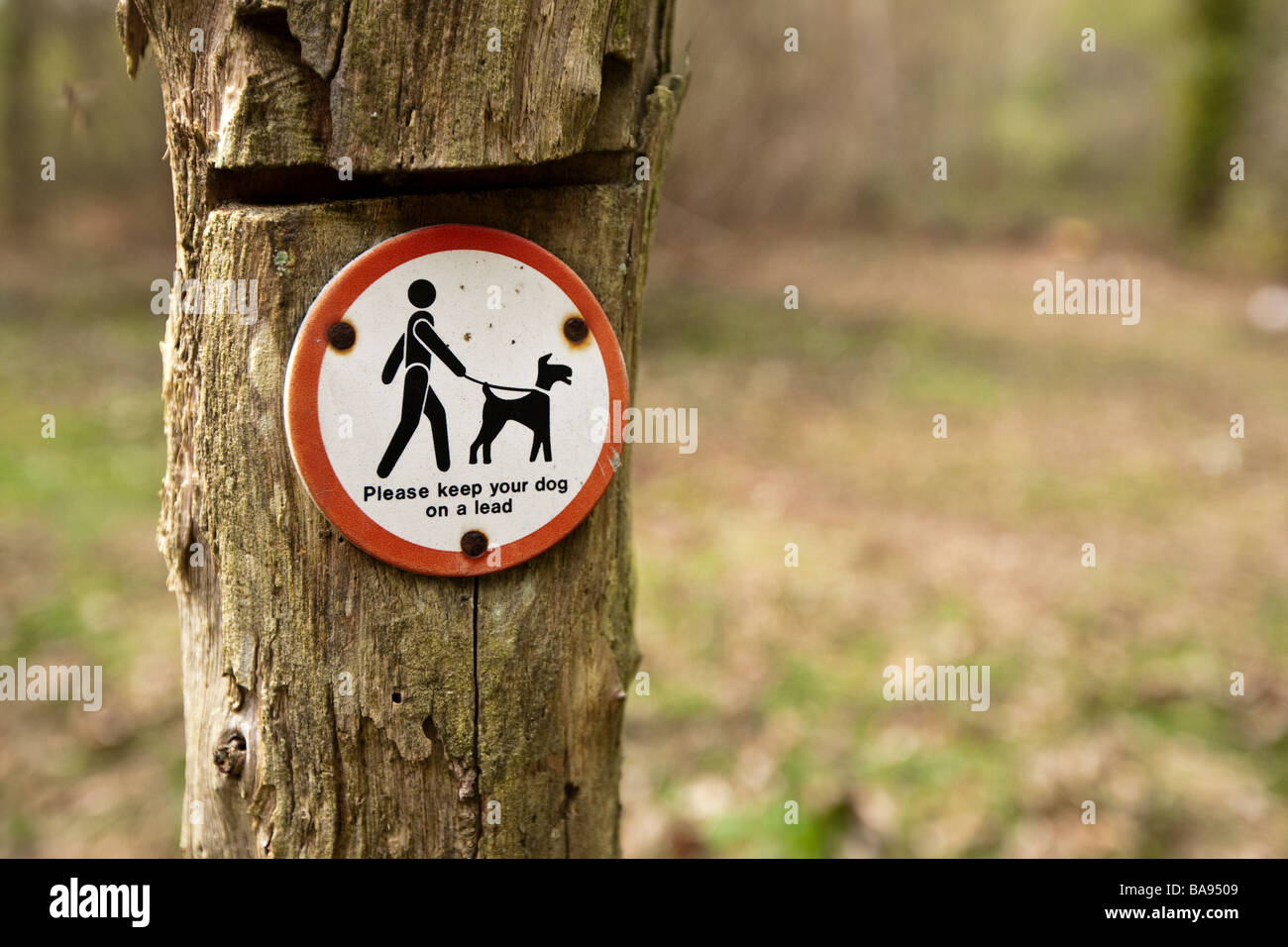 Bitte halten Sie Ihren Hund auf einem Schild führen auf einem hölzernen Pfosten Stockfoto