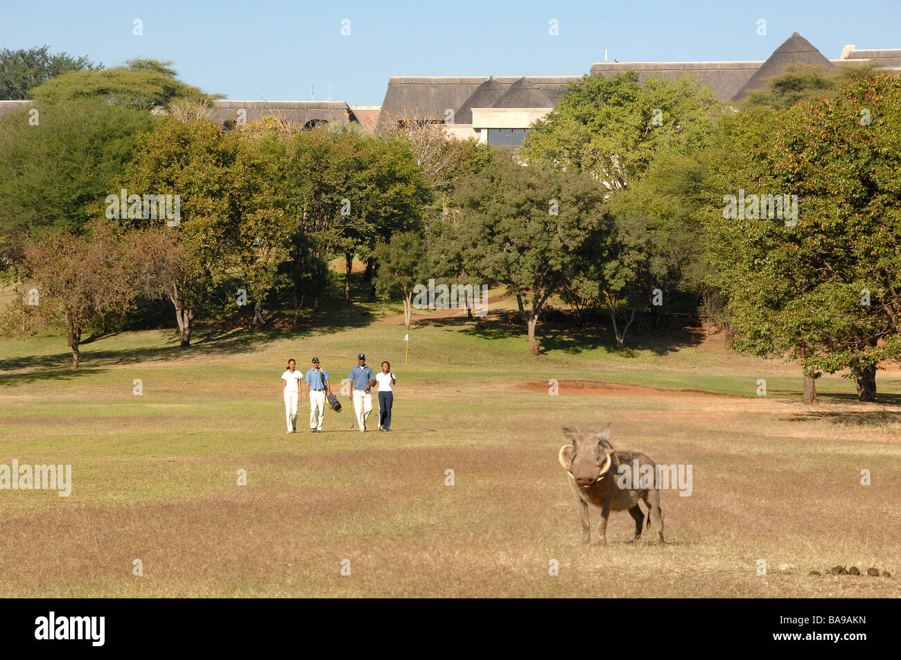 Touristen schätzen den Golfplatz bei Simbabwes Elephant Hills Resort. Stockfoto