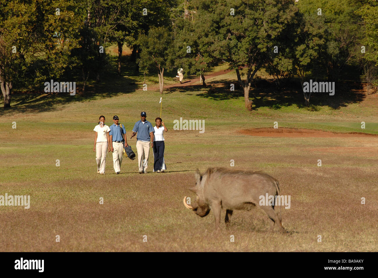 Touristen schätzen den Golfplatz bei Simbabwes Elephant Hills Resort. Stockfoto