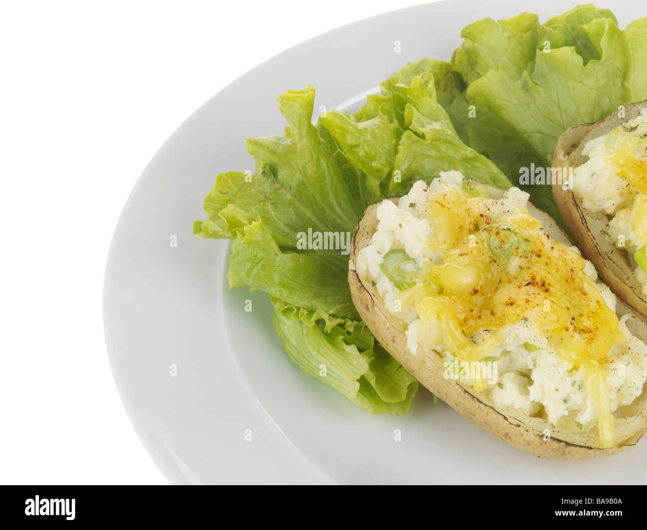 Frisch gebackene Kartoffeln gefüllt mit geschmolzenem Käse und Salat Isoliert gegen einen weißen Hintergrund mit keine Menschen und einen Freistellungspfad Stockfoto