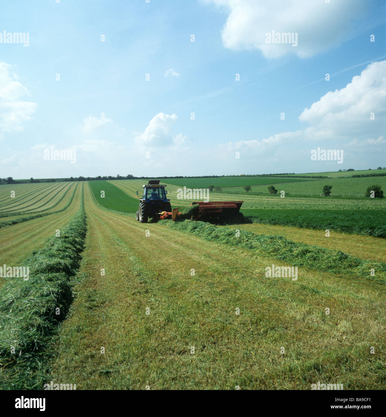 Ford Traktor Taarup Mähwerk mähen Rasen Ley vor Silage auf Nahrungssuche Stockfoto