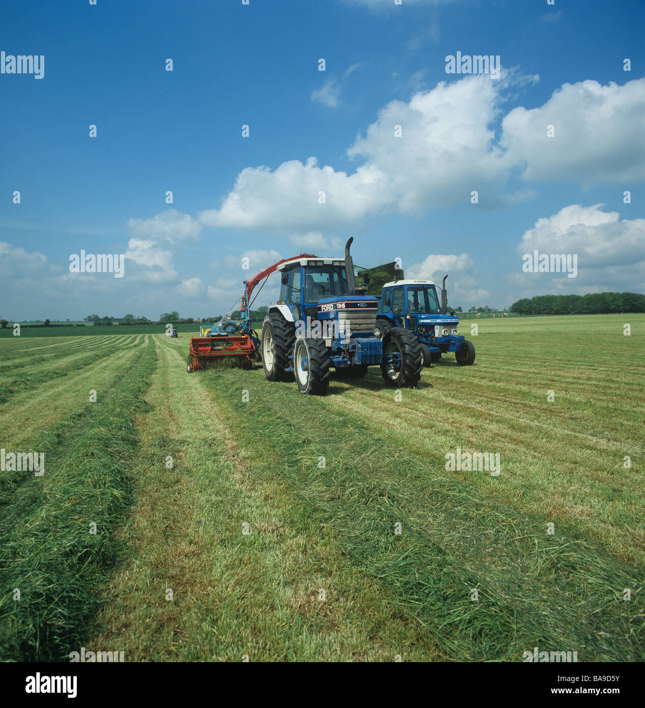 Traktor mit Reco Mengele Sammler sammeln schneiden Weidelgras für die silage Stockfoto