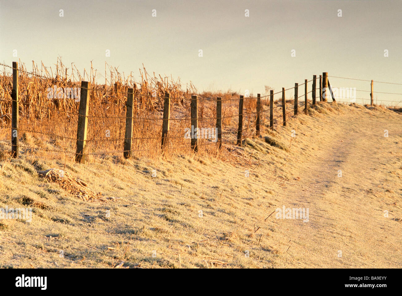 Zaun in frost Stockfoto