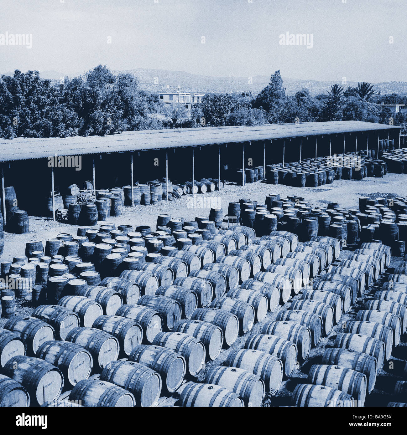 FÄSSER WEIN IN ZYPERN WEINGUT Stockfoto
