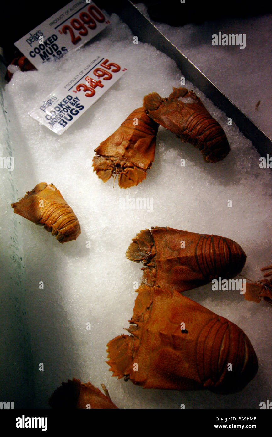 Ladendiebstahl Balmain Bugs in die Sydney Fish market Stockfoto