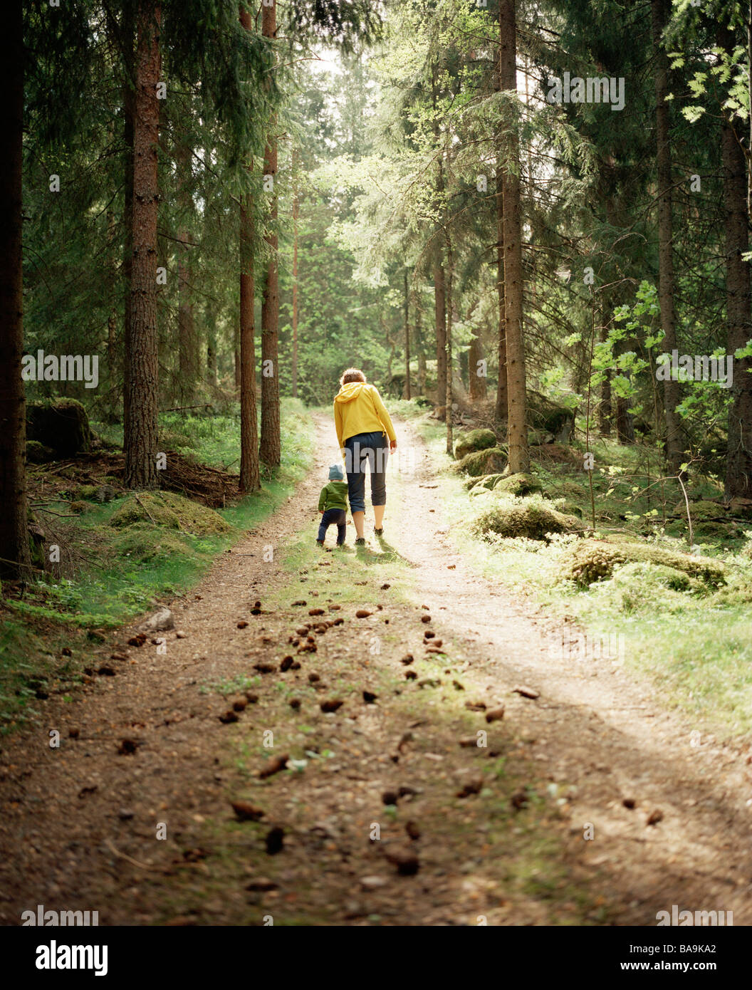 Eine Frau und ein Kind zu Fuß in den Wald, Linköping, Schweden. Stockfoto