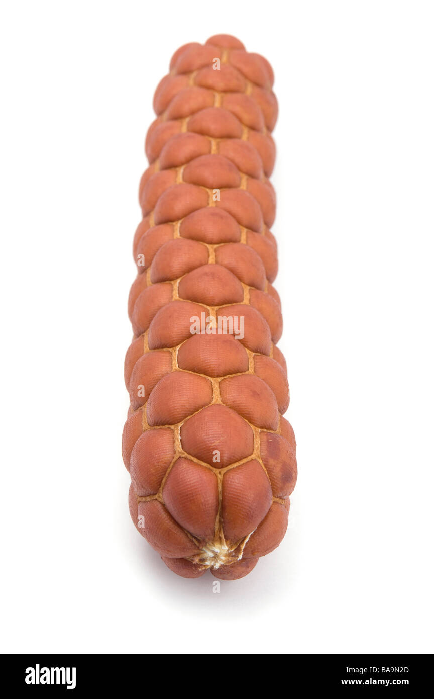 Objekt auf weißen Lebensmittel, geräucherte Wurst Stockfoto
