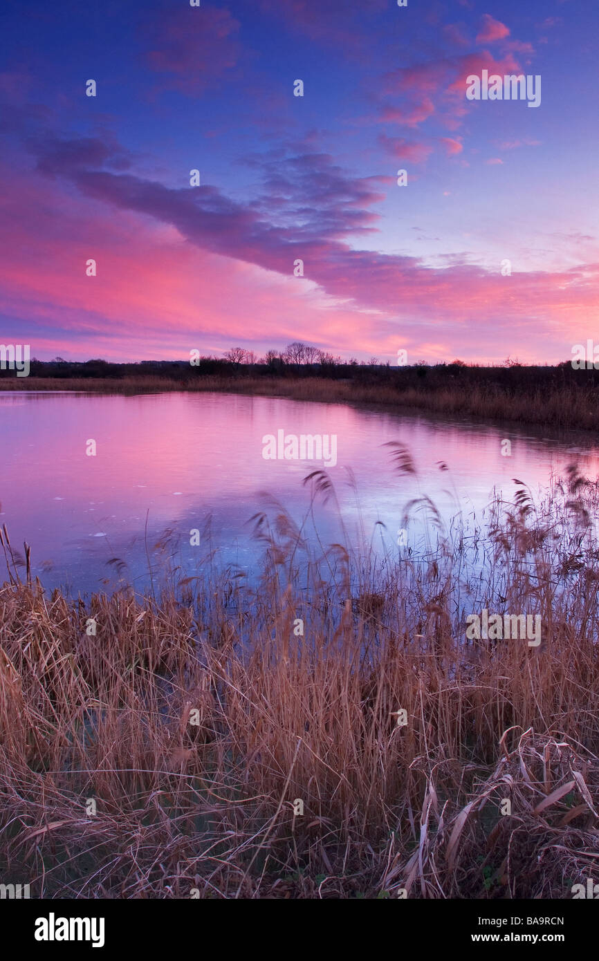 Ein Gefrorener Teich im Waters Edge Country Park Barton Humber North Lincolnshire Vereinigte Königreich Februar Stockfoto