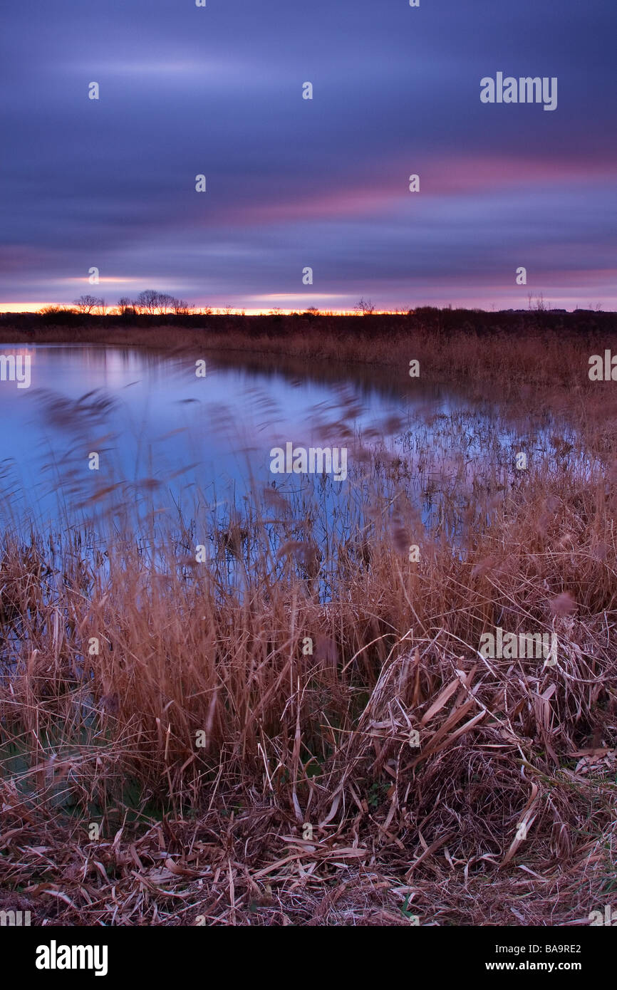 am späten Abend an den Gewässern Rand Land parken Barton am Humber North Lincolnshire Vereinigtes Königreich Februar Stockfoto