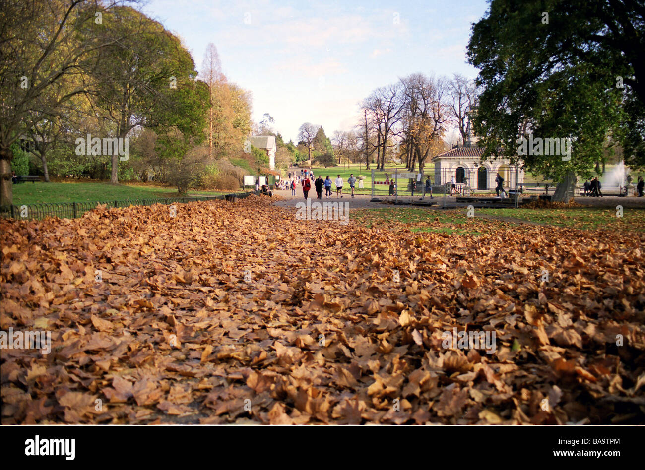 Hyde Park, London, in den Herbstmonaten Stockfoto