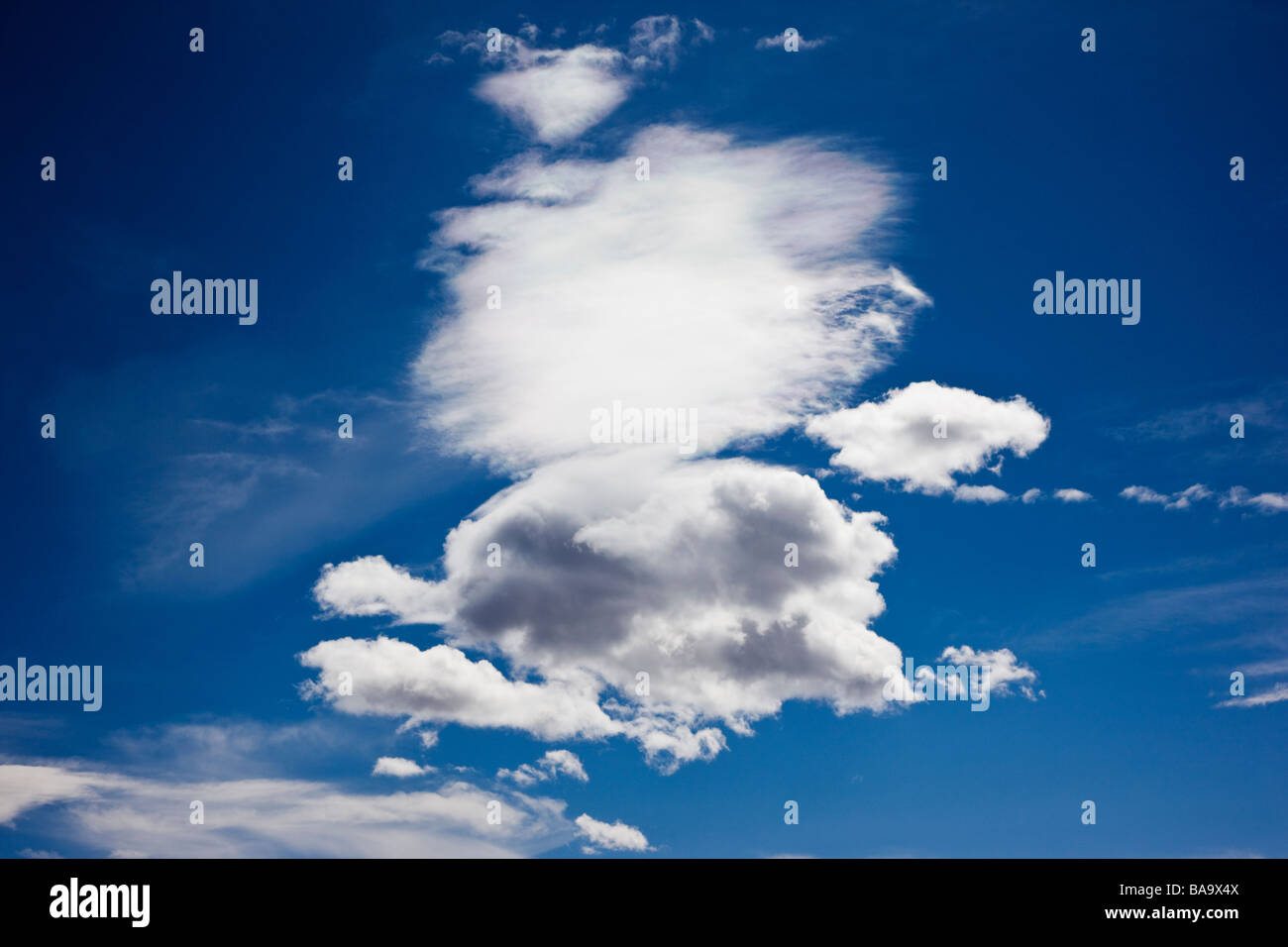 Geschwollene weiße Wolken am blauen Himmel in der Nähe von Placerville Colorado USA Stockfoto