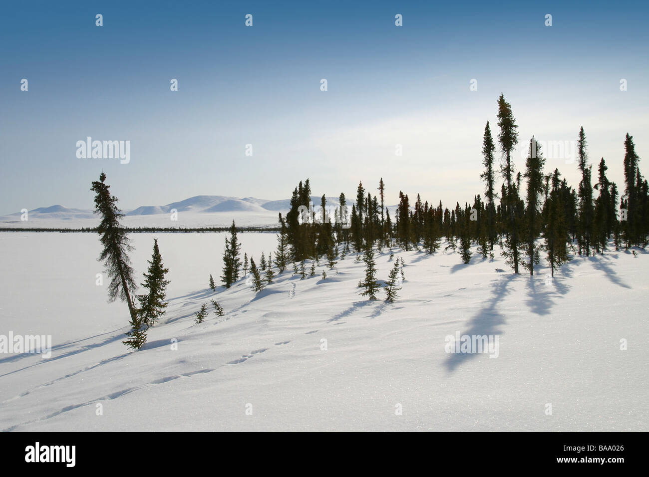 Arktische Landschaften und Landschaft in der Nähe der First Nation Ortschaft Old Crow, Yukon Territorium, Kanada. Stockfoto