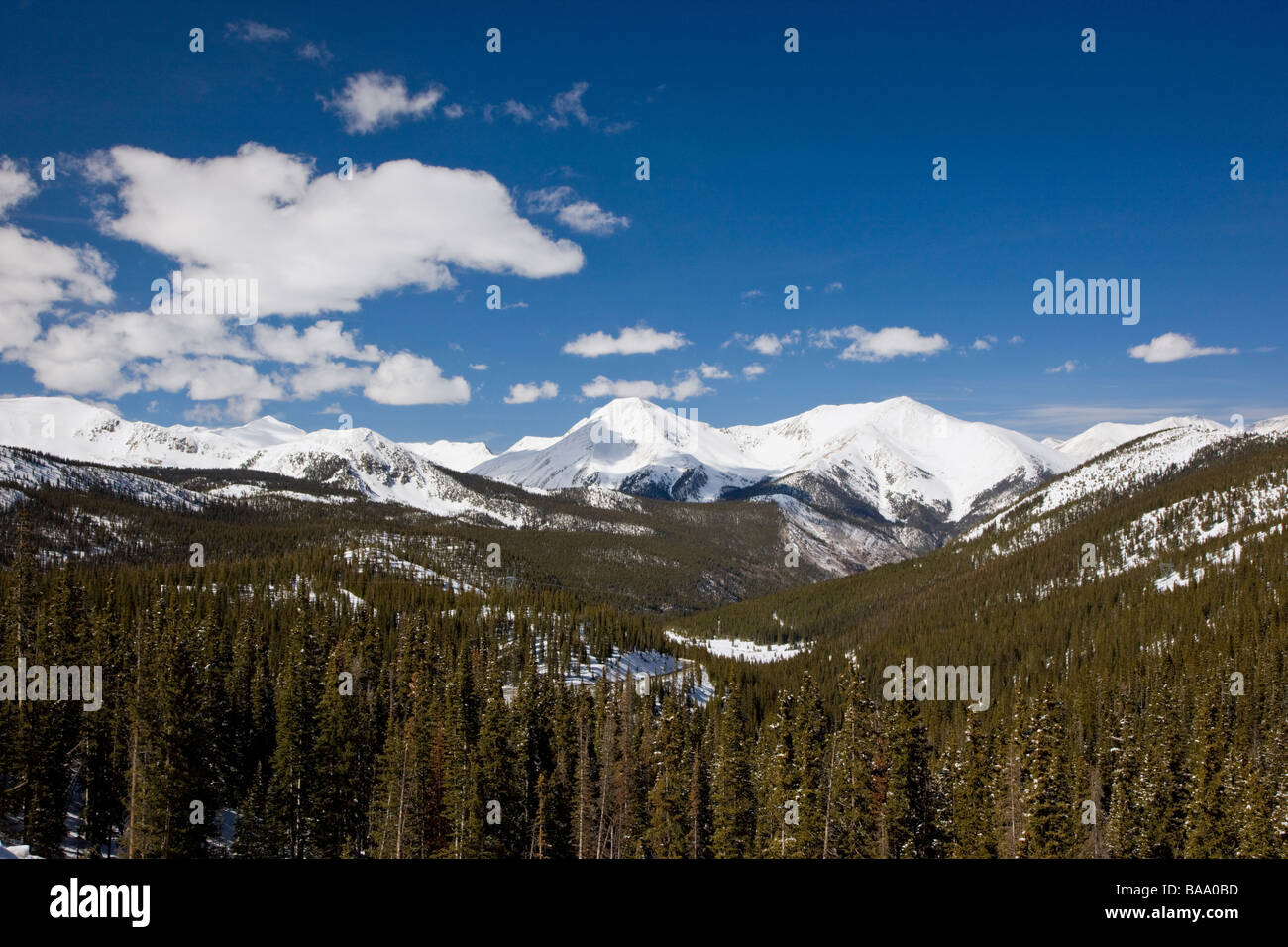 Winter-Ansicht der Sawatch Range der Colorado Rocky Mountains in der Nähe von Monarch Pass Chaffee County Colorado USA Stockfoto