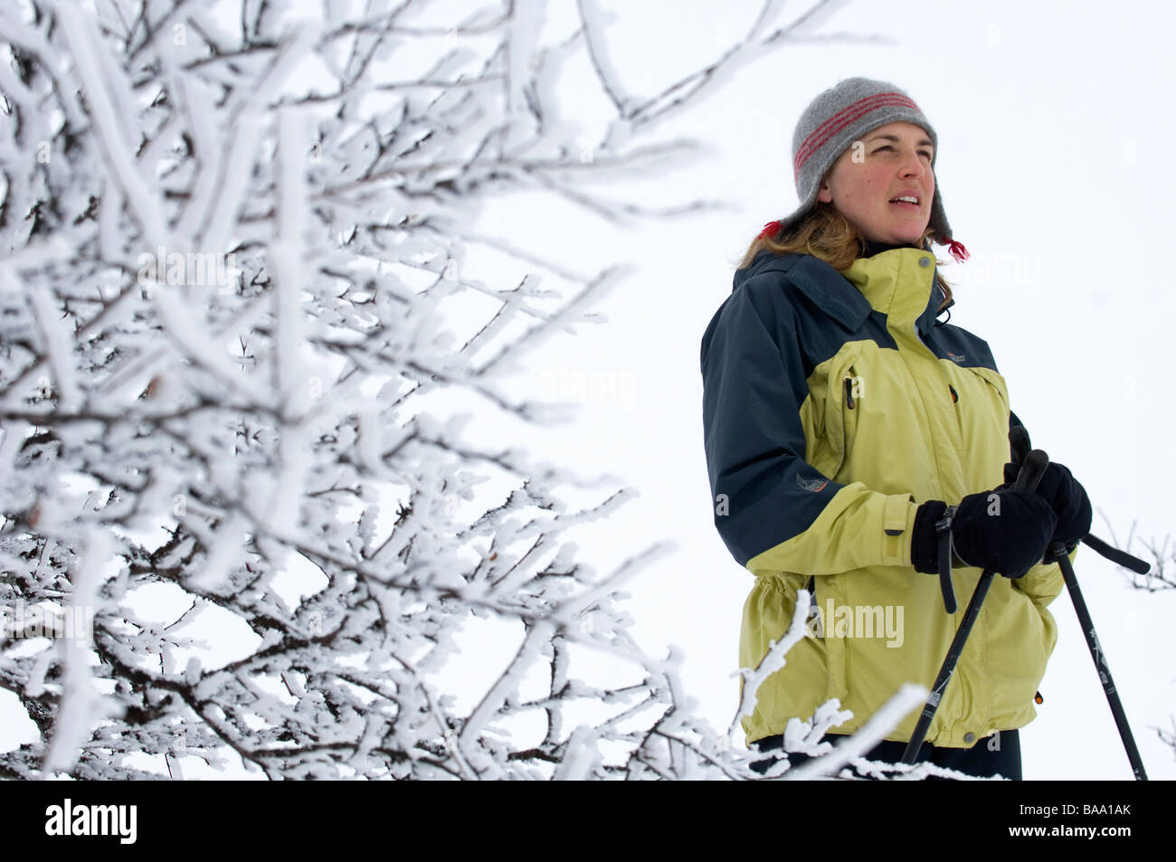 Fernverkehr Skifahrer im Schnee bedeckt Landschaft Schweden Stockfoto