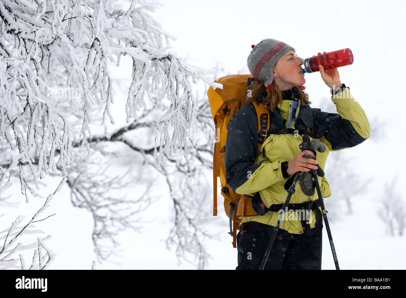 Fernverkehr Skifahrer im Schnee bedeckt Landschaft Schweden Stockfoto