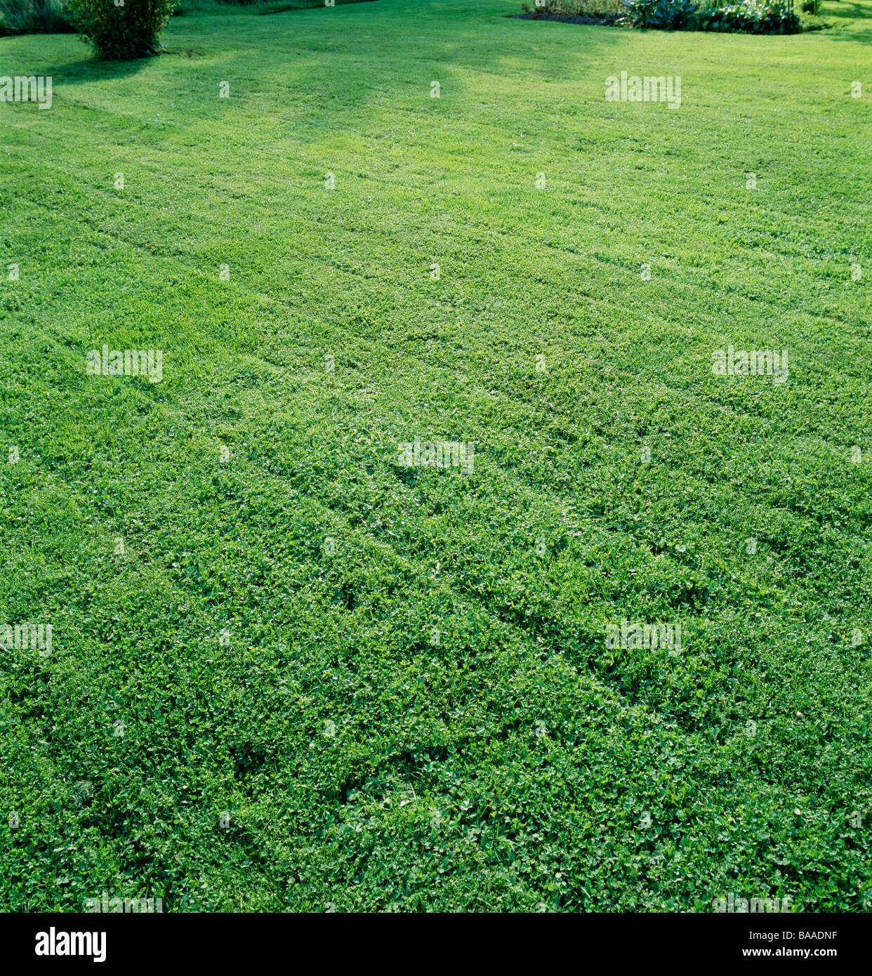 Grünland erhöht, Ansicht Stockfoto