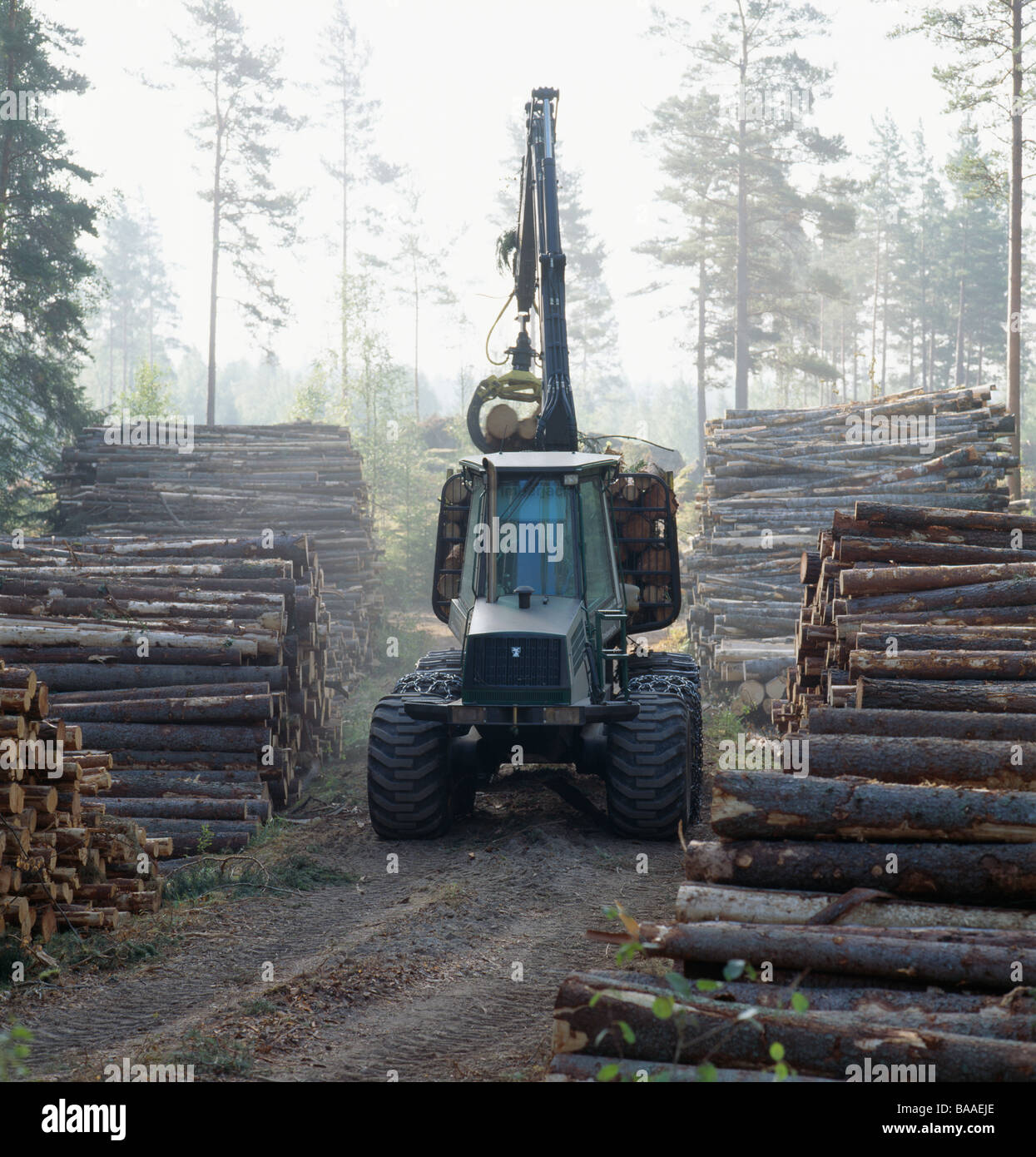 Kran Transport Holzscheite Stockfoto