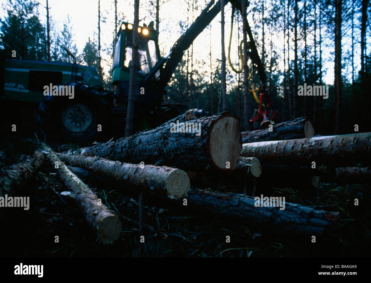 Mann treibende Kran im Wald Stockfoto