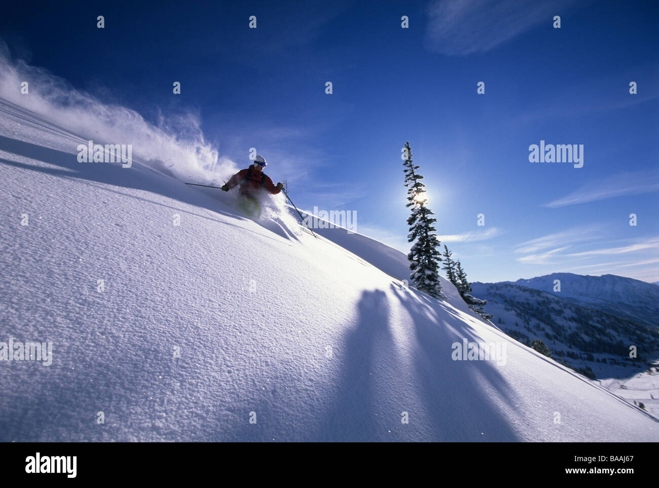 Mann Skifahren Tiefschnee in Utah. Stockfoto