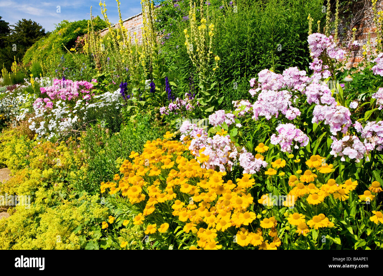 Krautige Grenzübergang Waterperry Gärten Wheatley Oxfordshire England UK mit gelben Helenium und rosa Phlox im Vordergrund Stockfoto