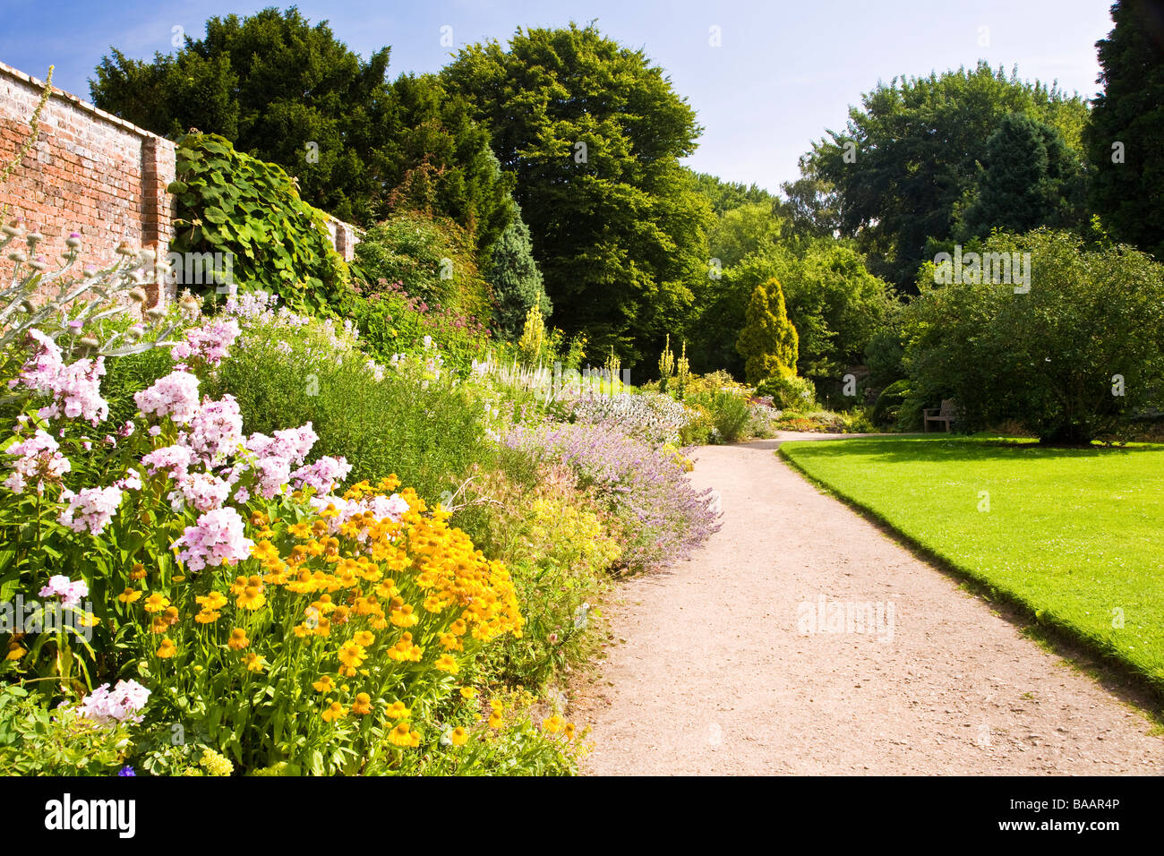 Krautige Grenzübergang Waterperry Gärten Wheatley Oxfordshire mit gelben Helenium und rosa Phlox im Vordergrund Stockfoto