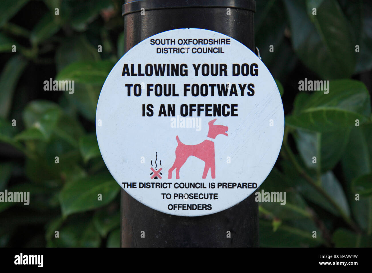 Anti Hundehaufen unterzeichnen in Henley on Thames, Oxfordshire. Stockfoto