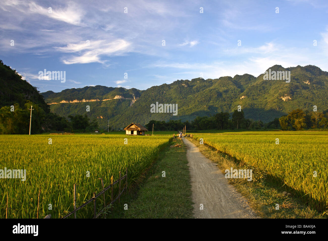 Schöne Landschaft mit grünen Bergen, Reis Fileds rund um Mai Chau Minderheit Dorf. Vietnam Stockfoto