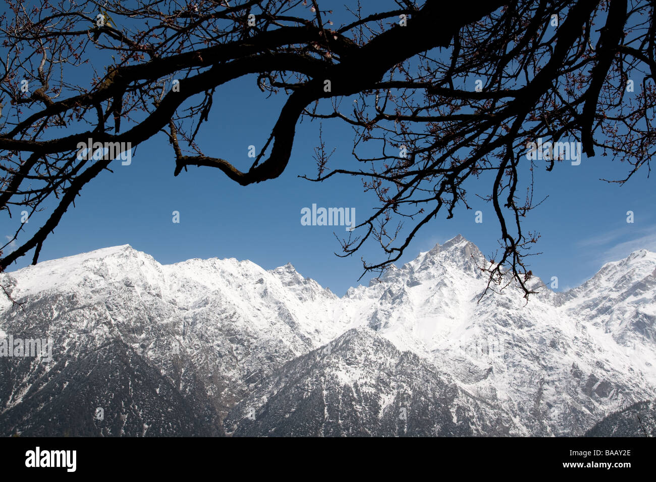 Kinnaur, Himalaya, Himachal Pradesh, Indien Stockfoto