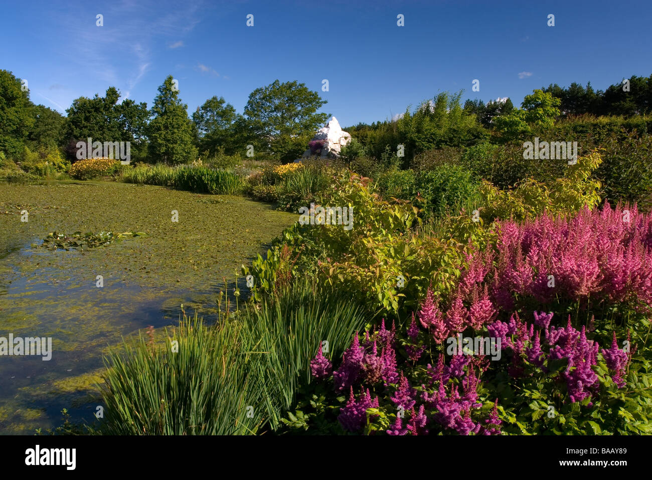 die königliche Gartenbaugesellschaft Garten Harlow Carr im Sommer Stockfoto