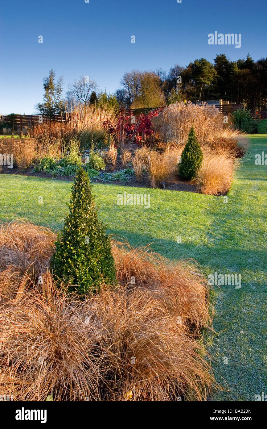 die königliche Gartenbaugesellschaft Garten Harlow Carr im winter Stockfoto
