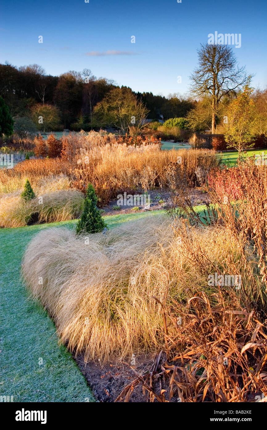 die königliche Gartenbaugesellschaft Garten Harlow Carr im winter Stockfoto