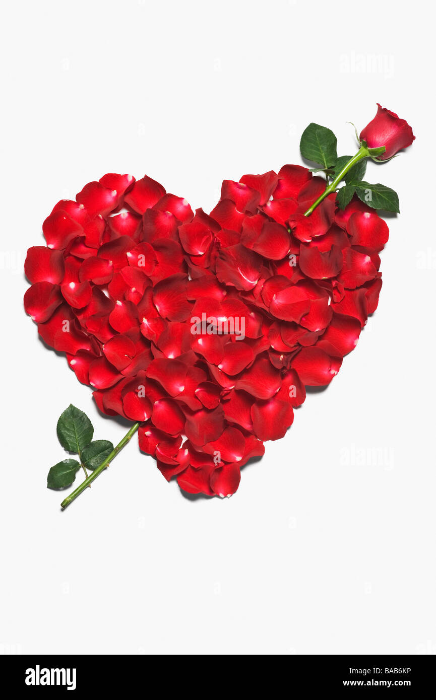 Hergestellt aus roten Rosenblättern Herzform Stockfoto