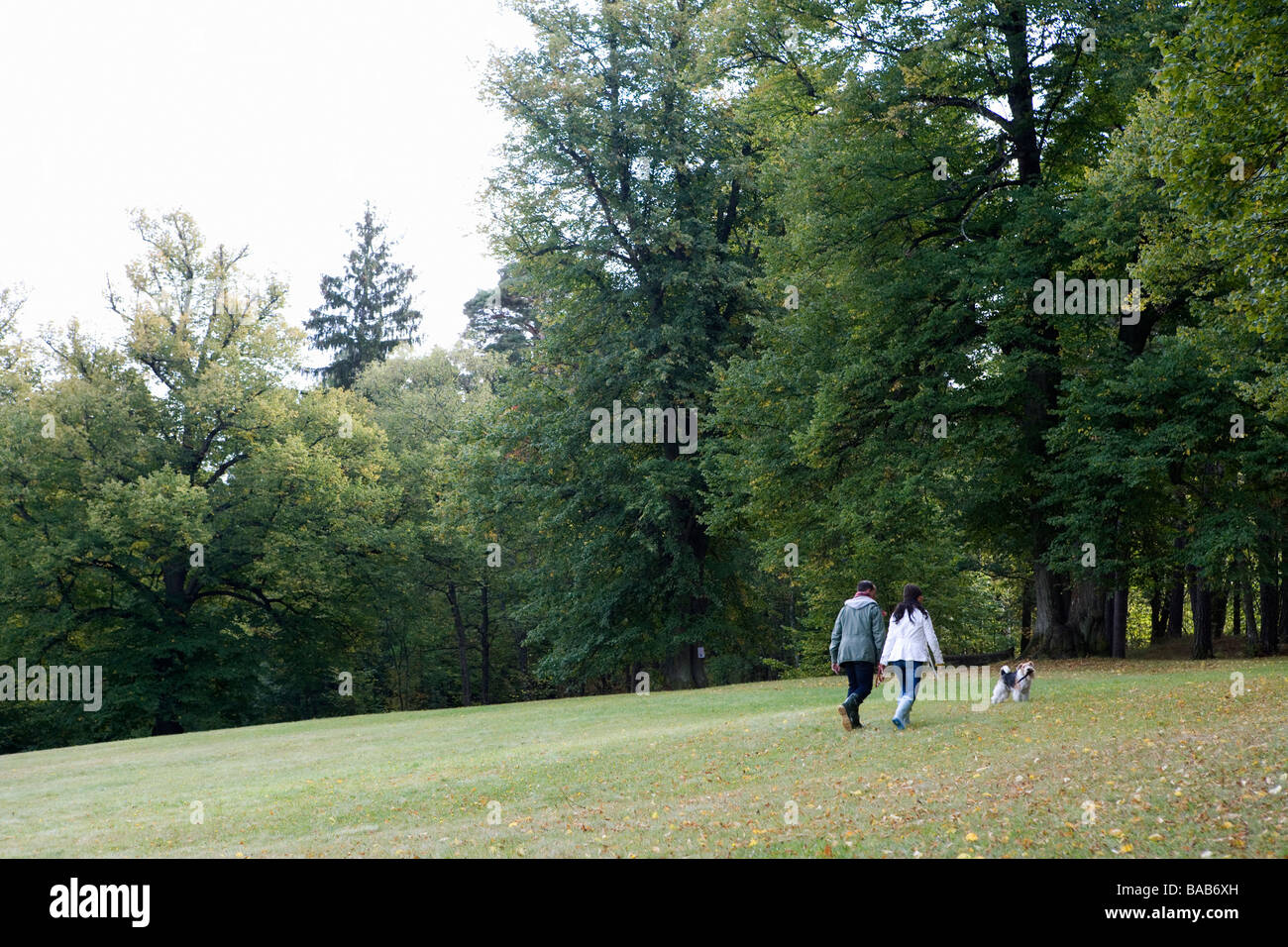 Ein Mann und eine Frau in einem Park ein Tag im Herbst, Schweden. Stockfoto