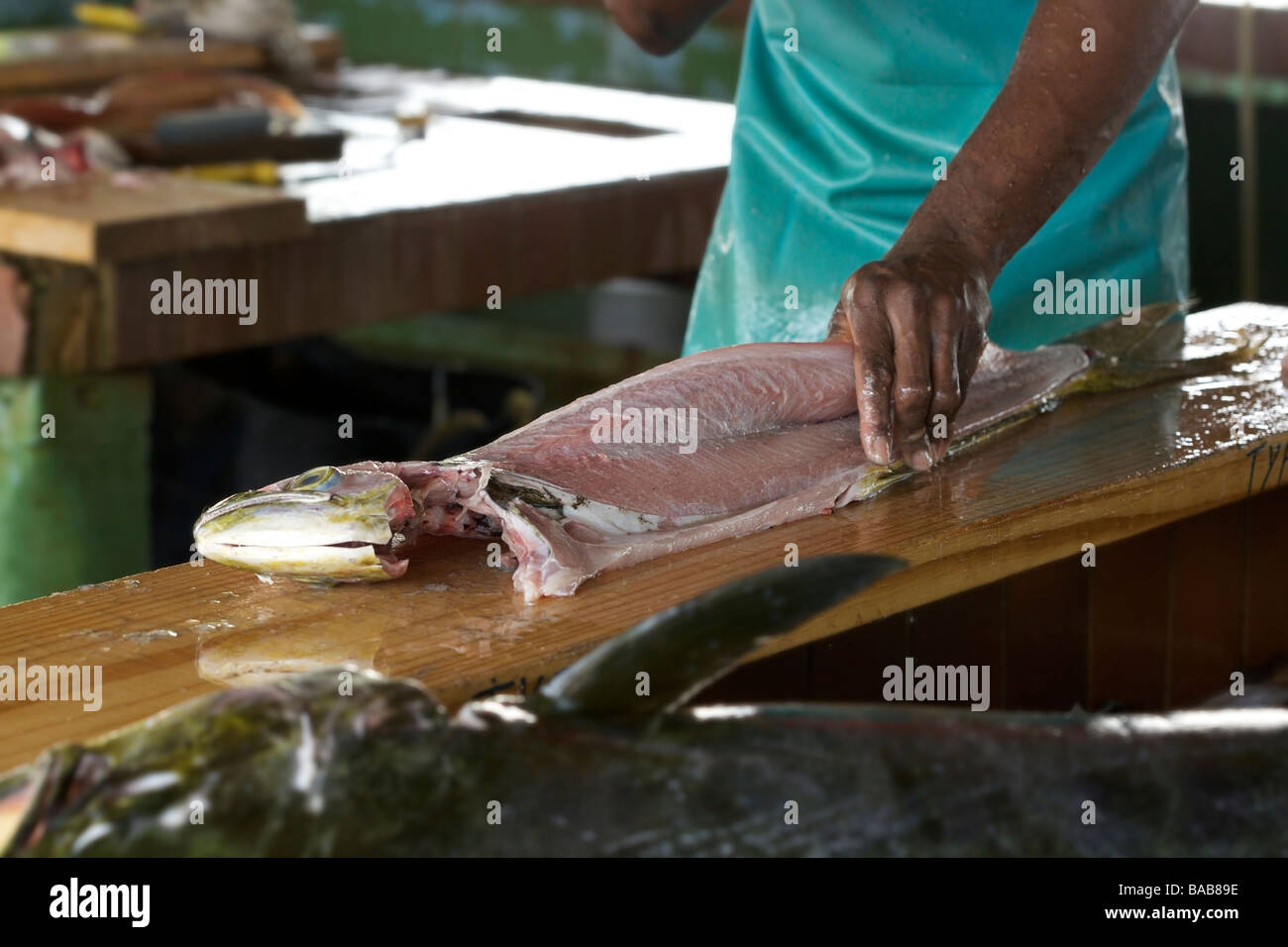 Anbieter verkaufen frischen Fang des Tages im Oistins Fish Market oder heißt jetzt Verinda Cox Fish Market, Barbados, "West Indies Stockfoto