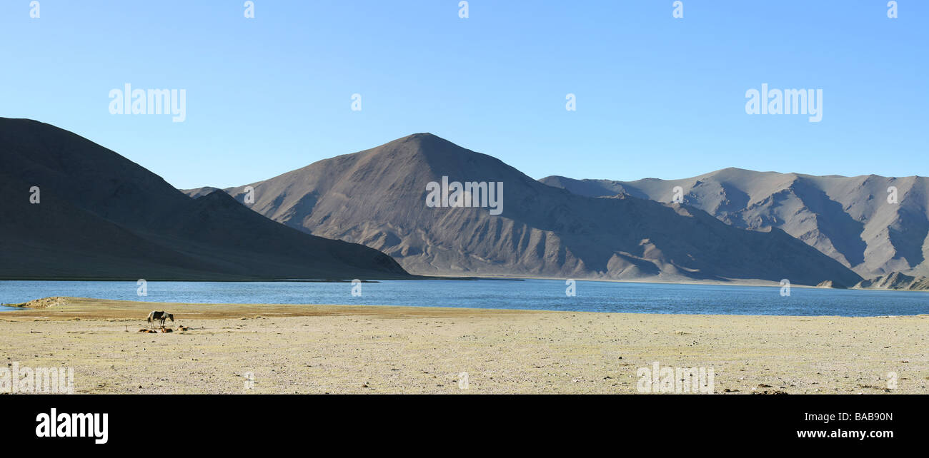 Sehr schöne mongolische Landschaft mit Pferd auf der linken Seite des Fotos Stockfoto