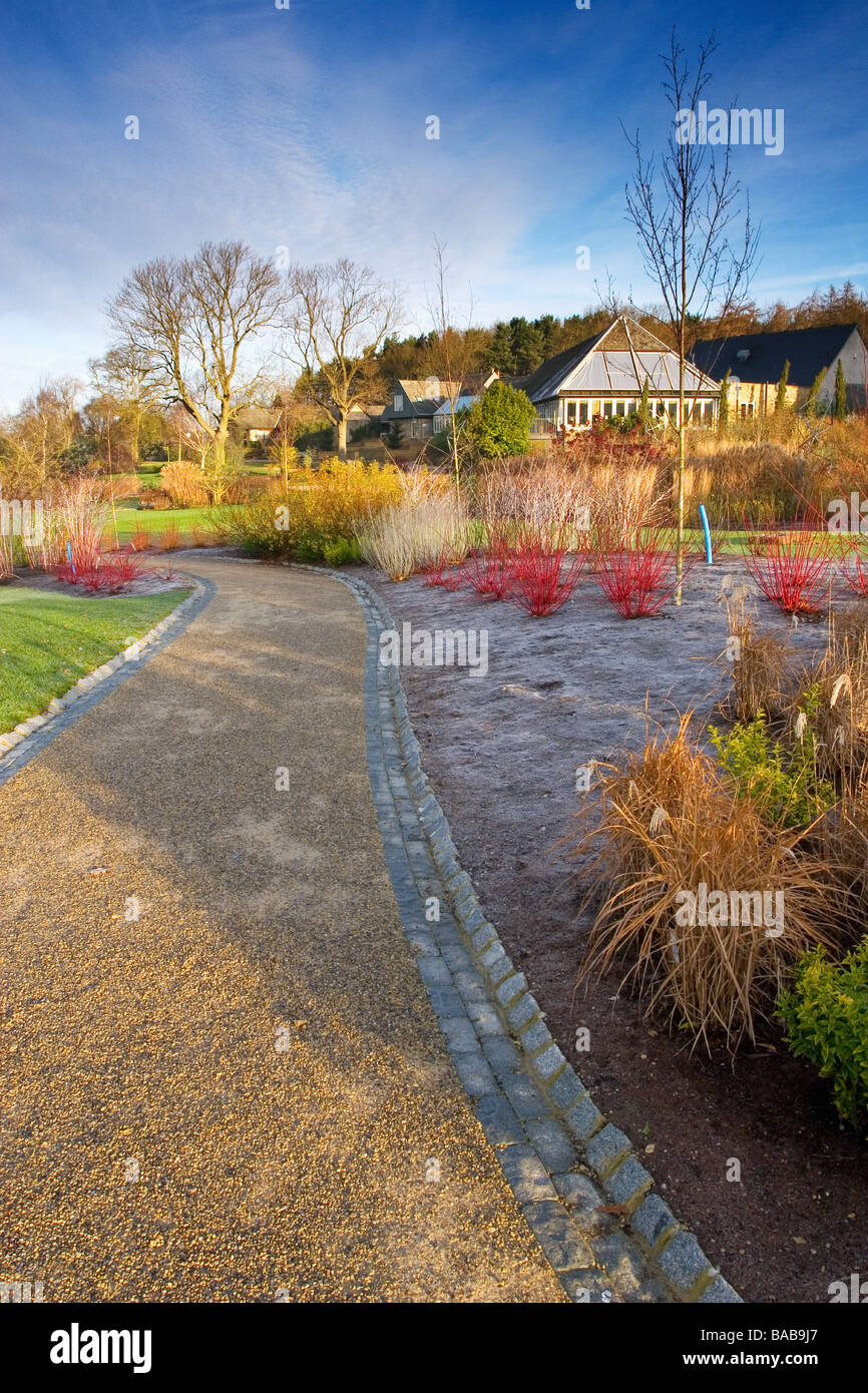 Die Winterwanderung bei der Royal Horticultural Society Garten Harlow Carr Toren Harrogate in Yorkshire Stockfoto