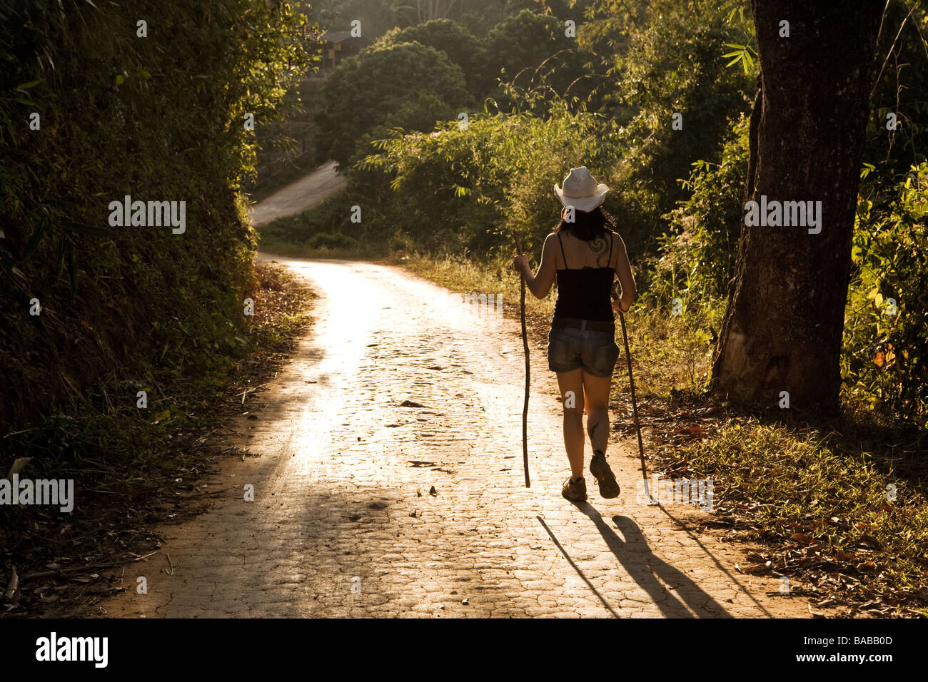 Trekking in Thailand Stockfoto