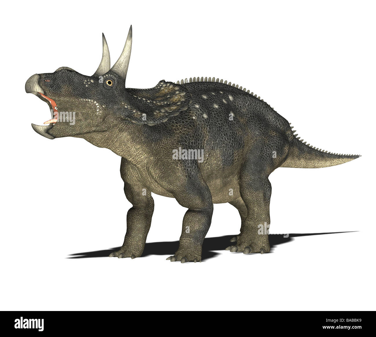 Dinosaurier Diceratus Stockfoto
