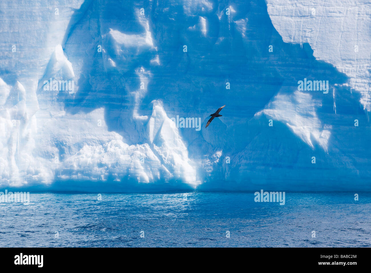 Blau tabellarische Eisberg antarktischen Halbinsel Antarktis Stockfoto