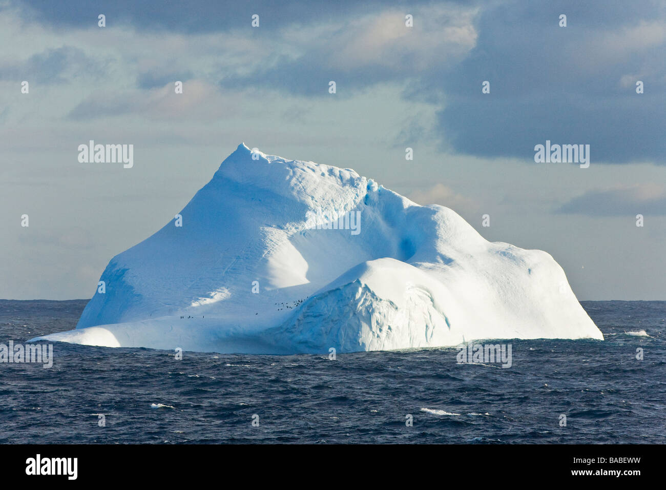 Eisberg mit Pinguinen in der Antarktis Weddell-Meer Stockfoto