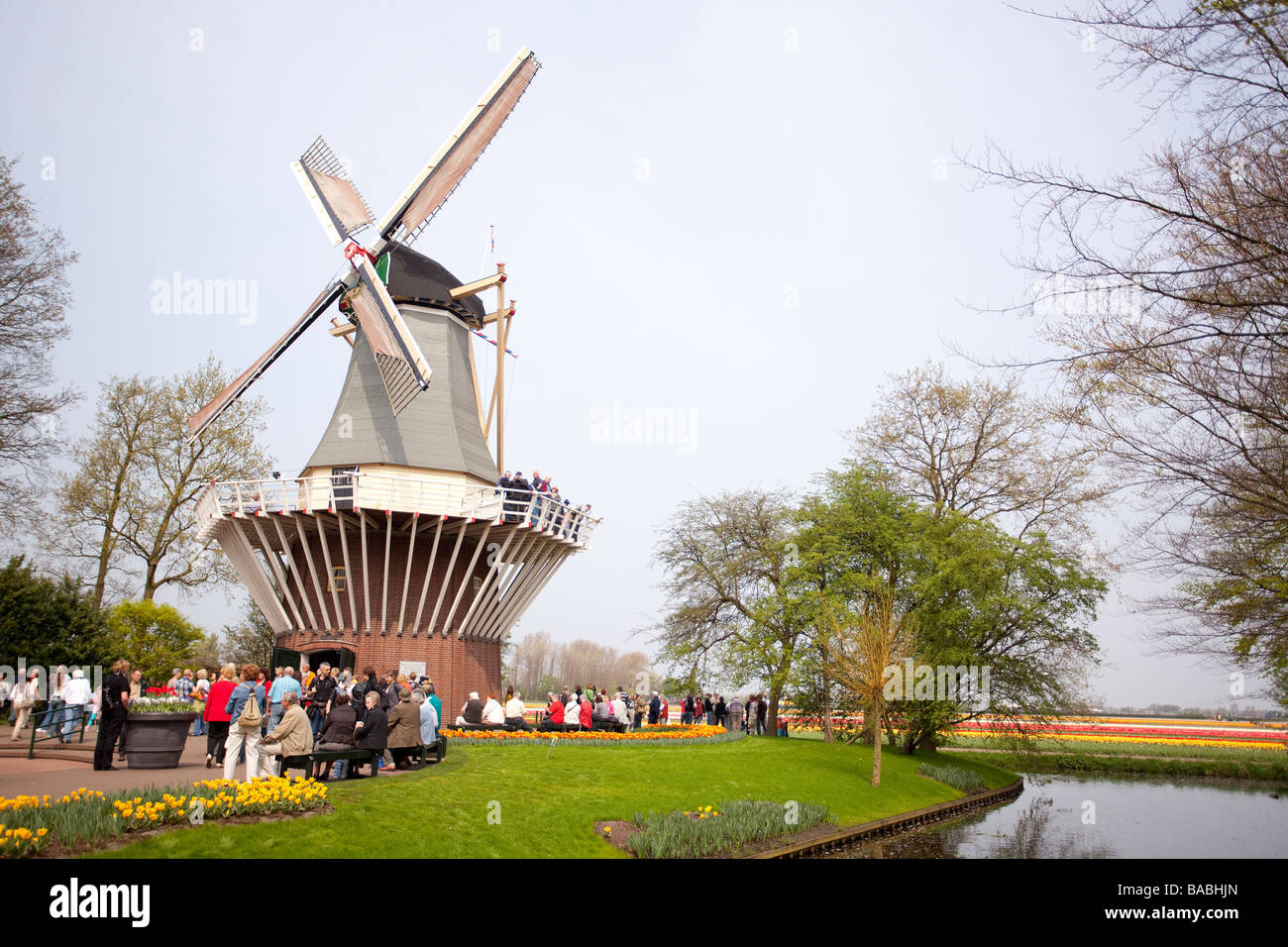 Windmühle im Keukenhof Park, Garten Europas, der weltweit größten Blumengarten, Lisse, Niederlande. Stockfoto