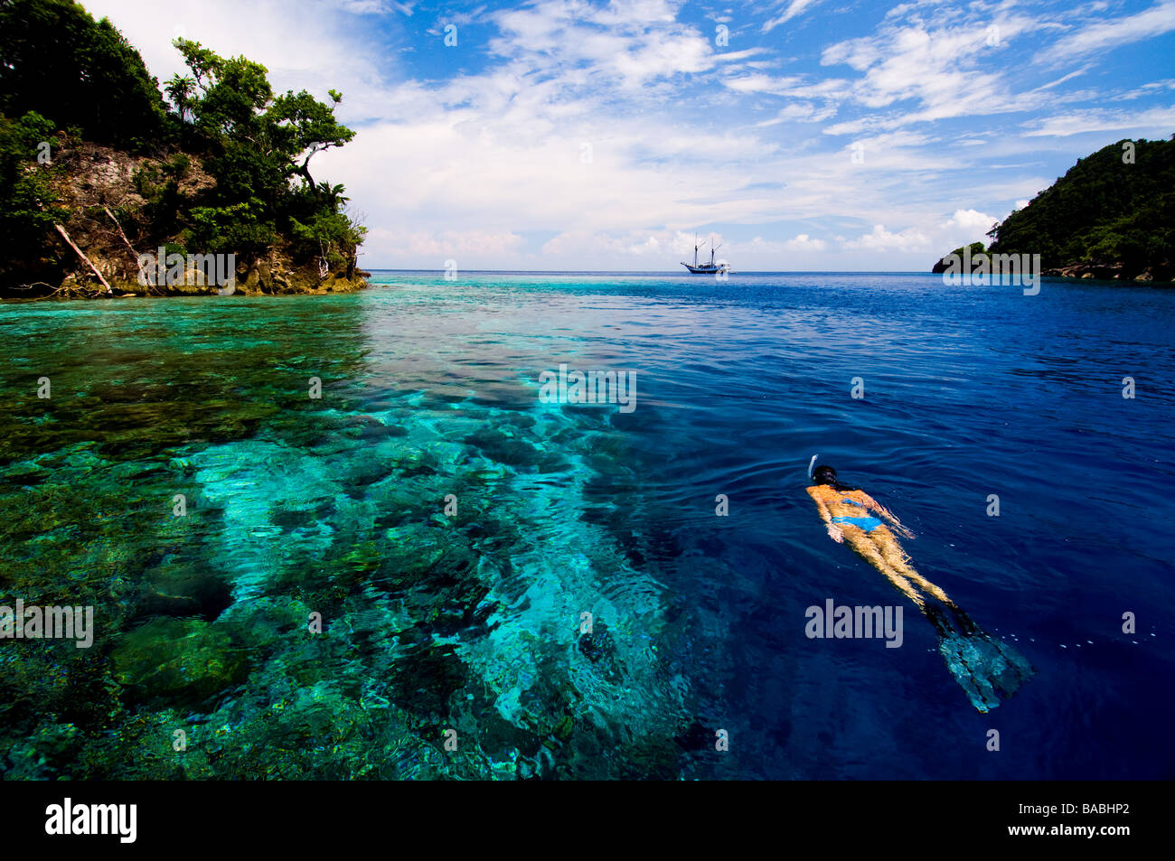 Schnorcheln in Papua, Indonesien, weibliche Taucher, Raja Empat, Bikini, klares Wasser, Flachwasser, Fotosub, gute Sicht Stockfoto